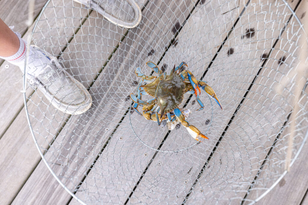 Crabbing