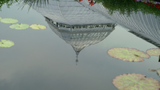 A serene reflection of the glass dome at the Phipps Conservatory and Botanical Gardens in Pittsburgh, mirrored in a still pond, with floating lily pads and surrounding flowers.