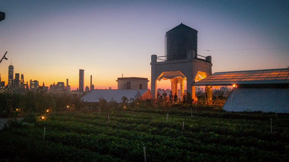Rooftop Urban Farm Dinner