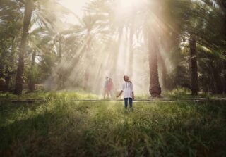 Natural Oasis of Abu Dhabi