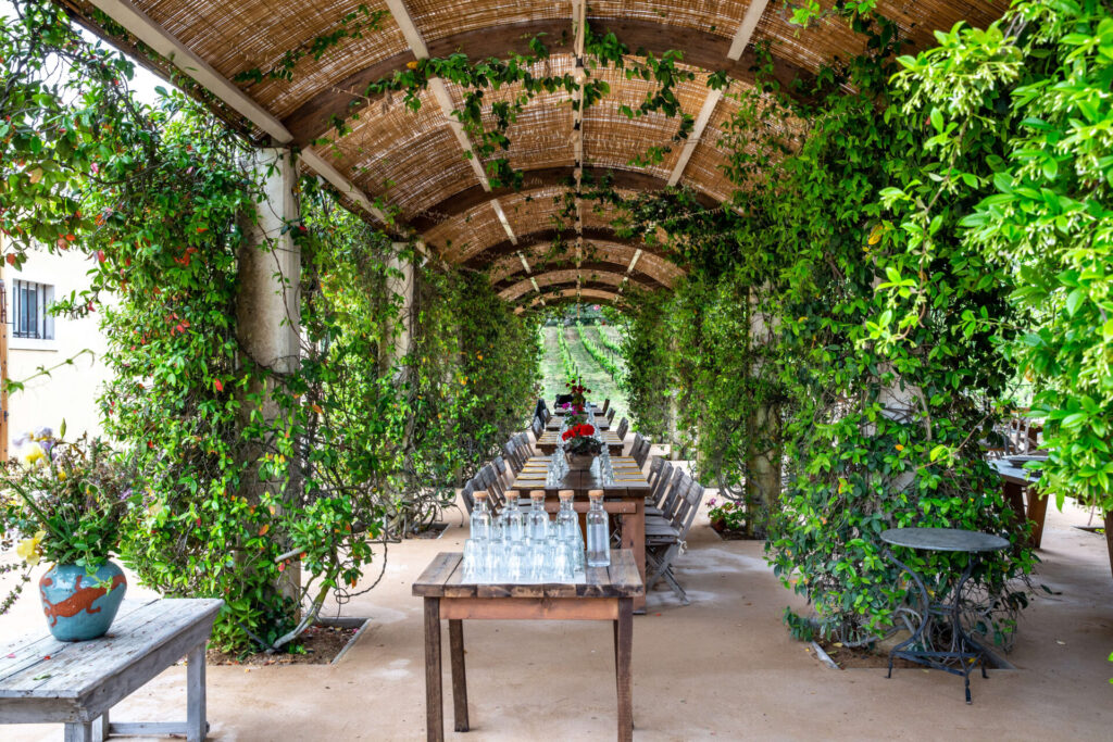 Historic vineyard tour