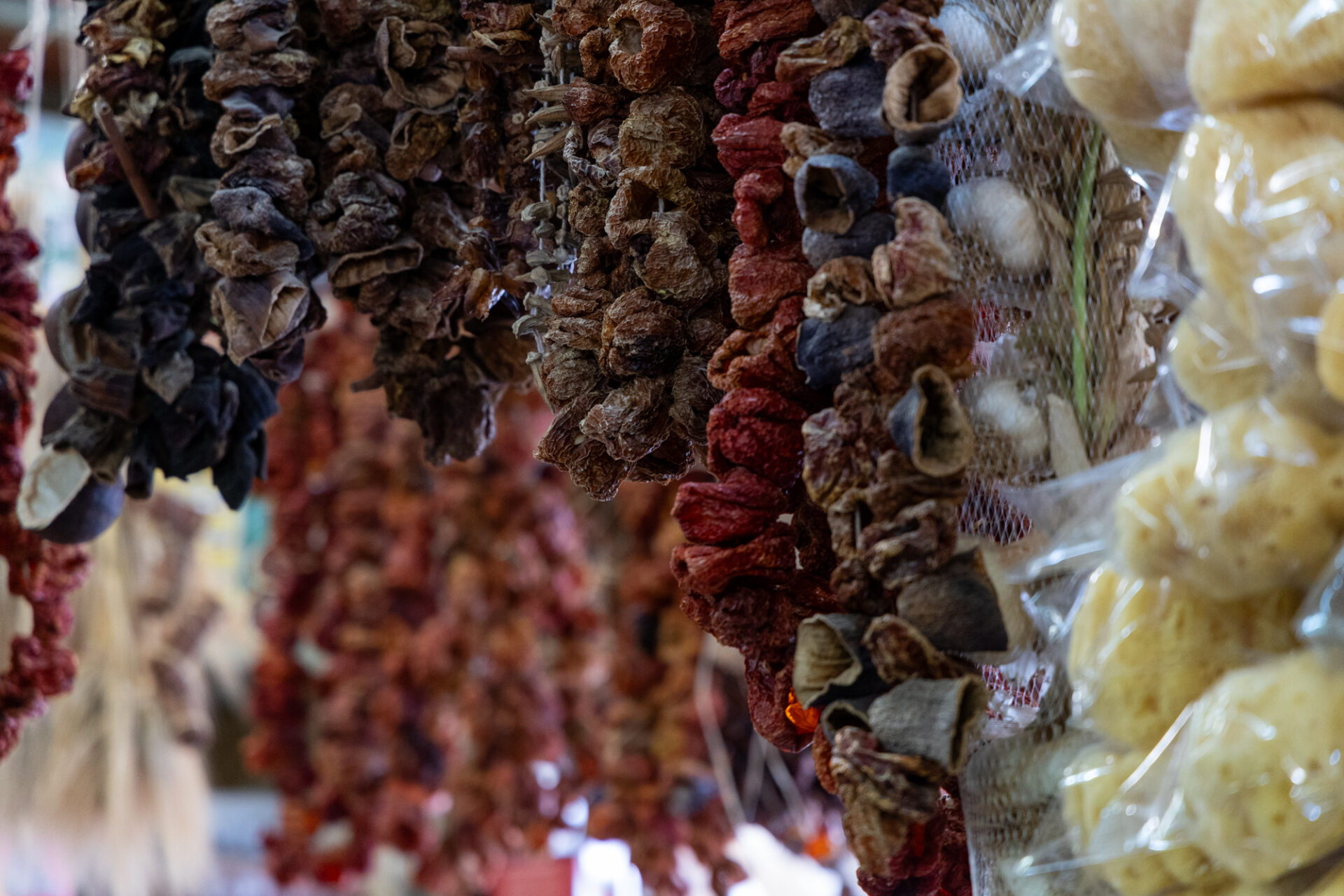 Hanging bundles of sun dried vegetables