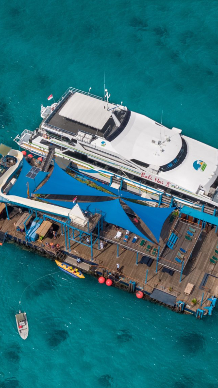 Aerial view of cruise ship