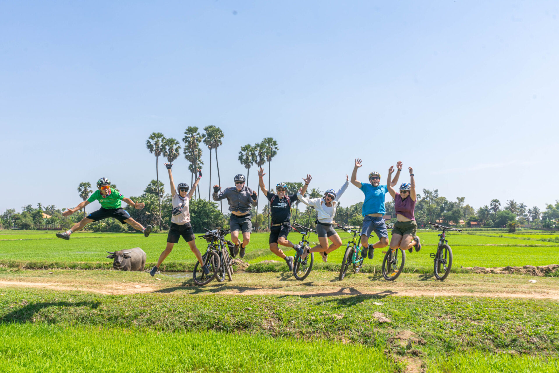 Group activity, Bicycle tour in Siem Reap