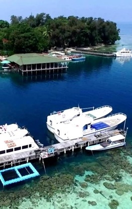Boats docked to take guests to Thousand Islands