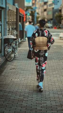 View of Yanaka's backstreets