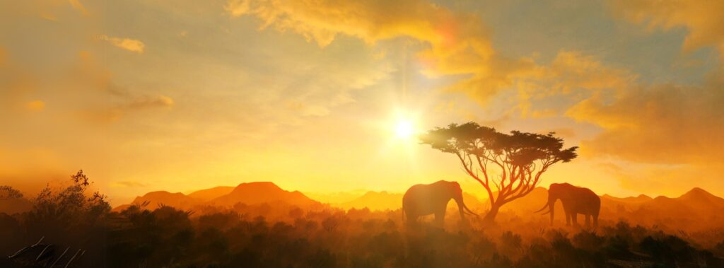 African Sunset with elephants