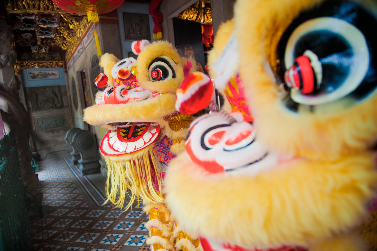 A lion dance show for event in Singapore.