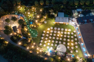 Aerial view of garden