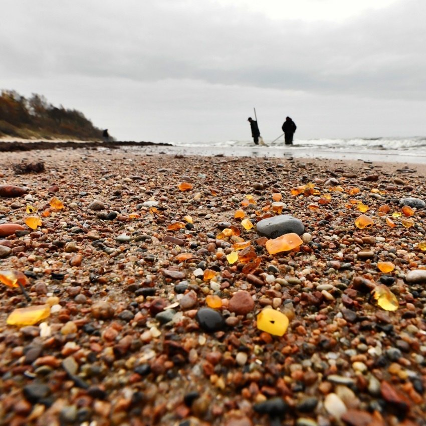 Amber stones on coast