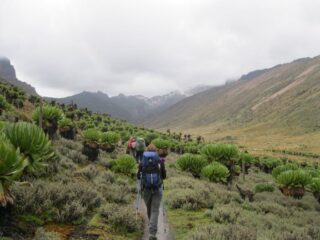 Hiking in Mount Kenya