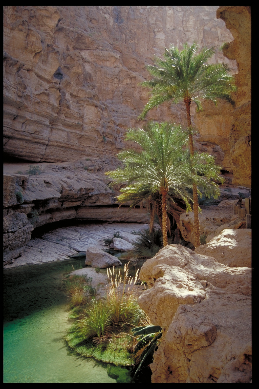 Wadi Shaab in Oman