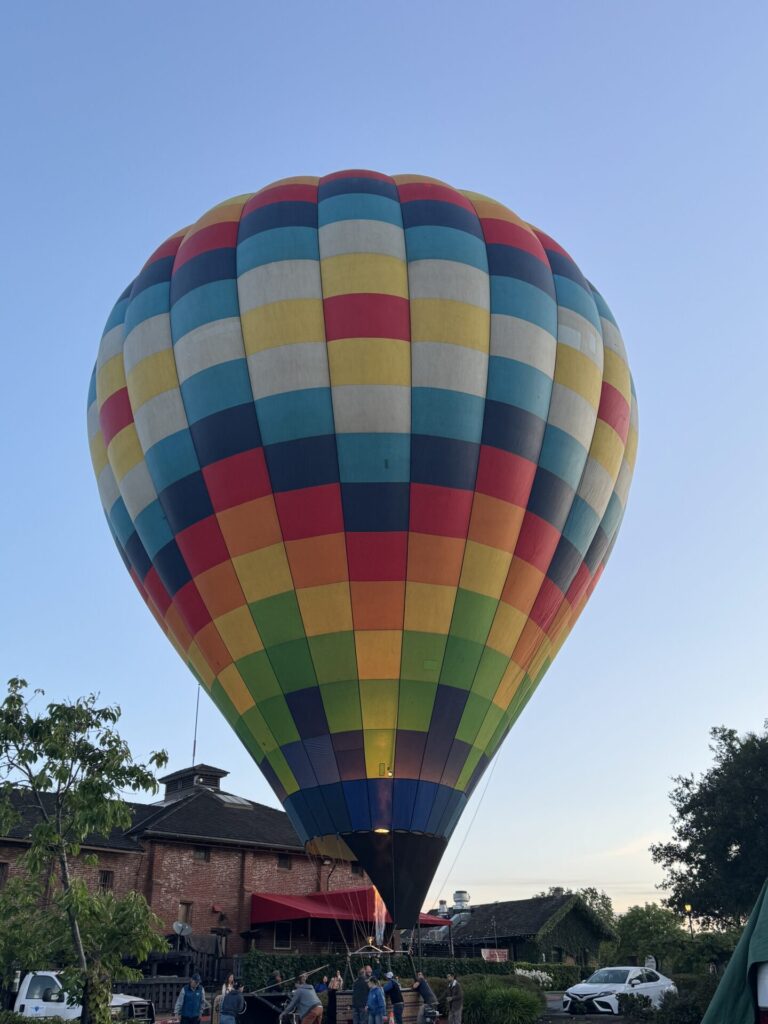 multi colored hot air balloon