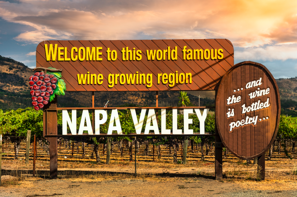 brown sign in front of grape vines that says "Welcome to the world famous wine growing region NAPA VALLEY"