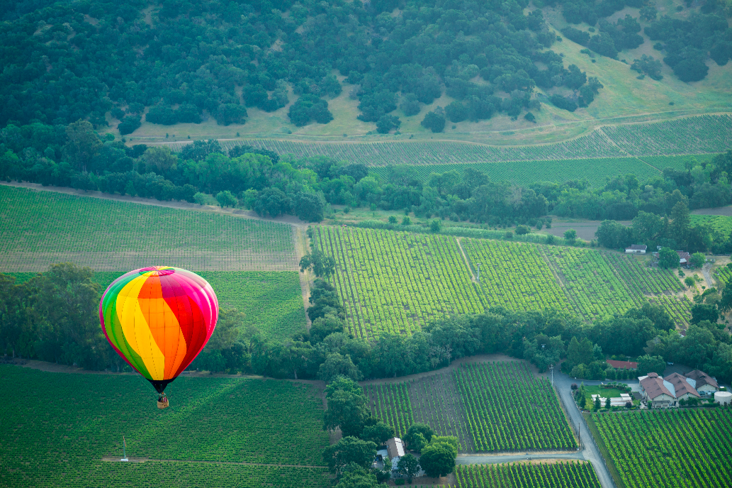 multi-colored hot air balloon flying over the vineyards of Napa Valley