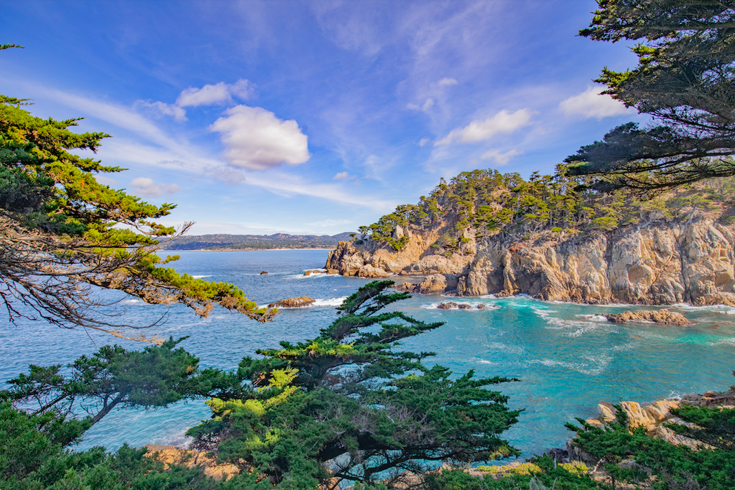 a cliff view with trees and the ocean