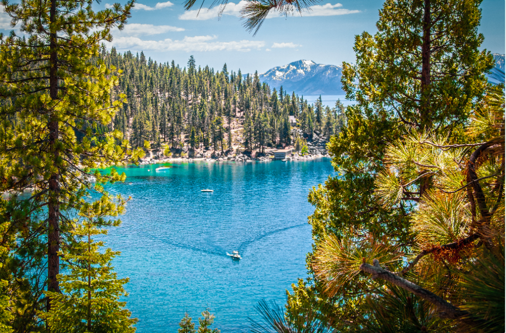 view of Lake Tahoe through two trees with a boat in the water