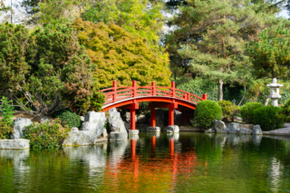 red bridge over water surrounded by trees