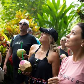 Group Tour of the Diamond Falls & Botanical Gardens