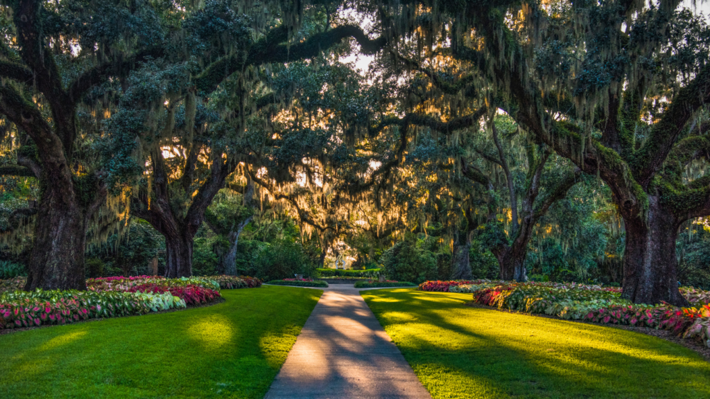 Manicured lawn in South Carolina