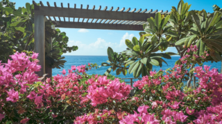Pergola on the beach flanked by pink flowers