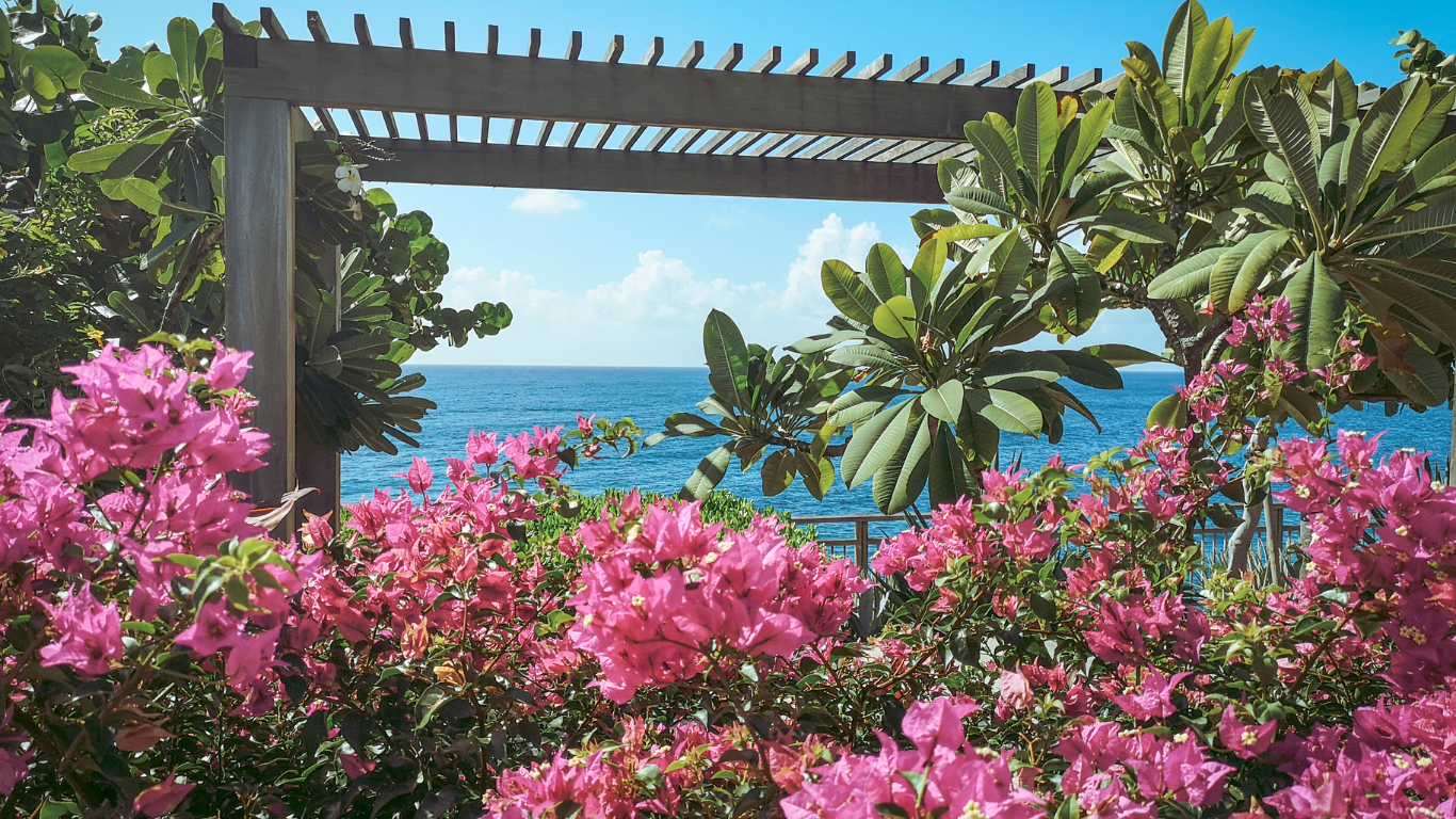 Pergola on the beach flanked by pink flowers