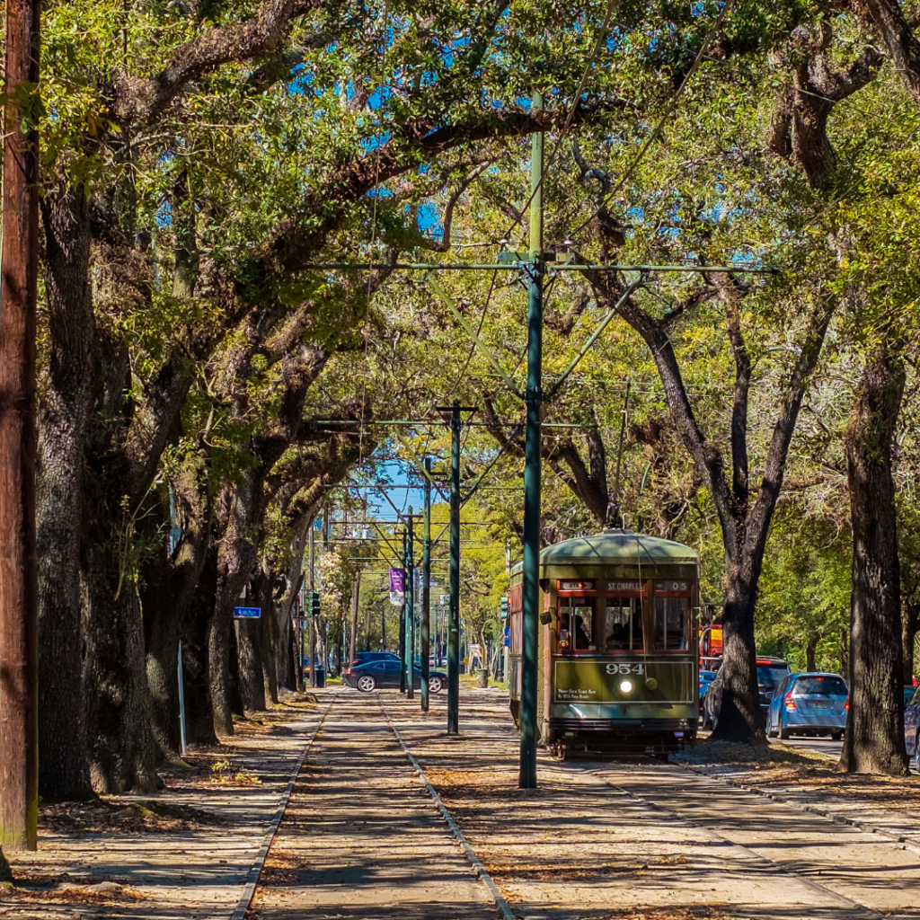 Streetcar on Saint Charles Avenue