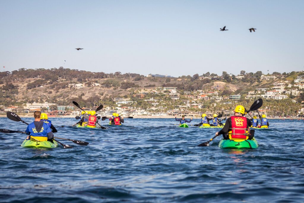 Group of Kayaking in the La Jolla Cove