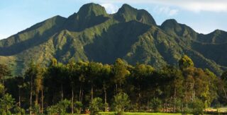 Journey to the majestic Virunga Mountains in Rwanda—home to rare mountain gorillas and stunning landscapes that captivate every adventurer's soul.