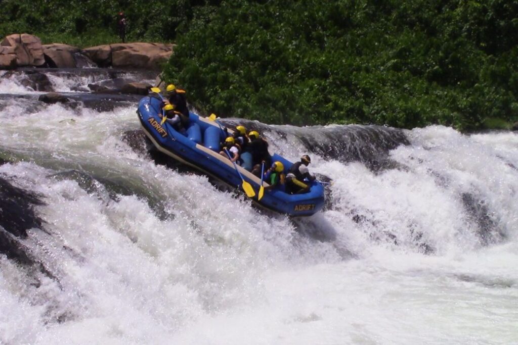 White Water Rafting in Jinja. Thrilling white water rafting on the Nile River in Uganda, an adventurous activity near Jinja, offering world-class rapids and scenic landscapes in East Africa.