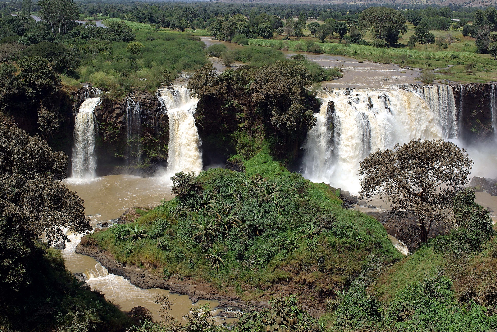 The Blue Nile Waterfalls in Ethiopia, a breathtaking cascade surrounded by lush greenery, showcasing one of East Africa’s natural wonders and top eco-tourism attractions.