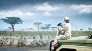 Safari experience in Tanzania’s wilderness, featuring close-up wildlife encounters, vast savannah landscapes, and guided game drives in one of Africa’s premier safari destinations.