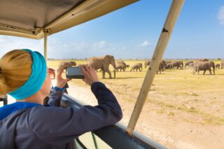 Elephants roaming the savannah in Tanzania, capturing the essence of a wild safari experience in East Africa's iconic landscapes.
