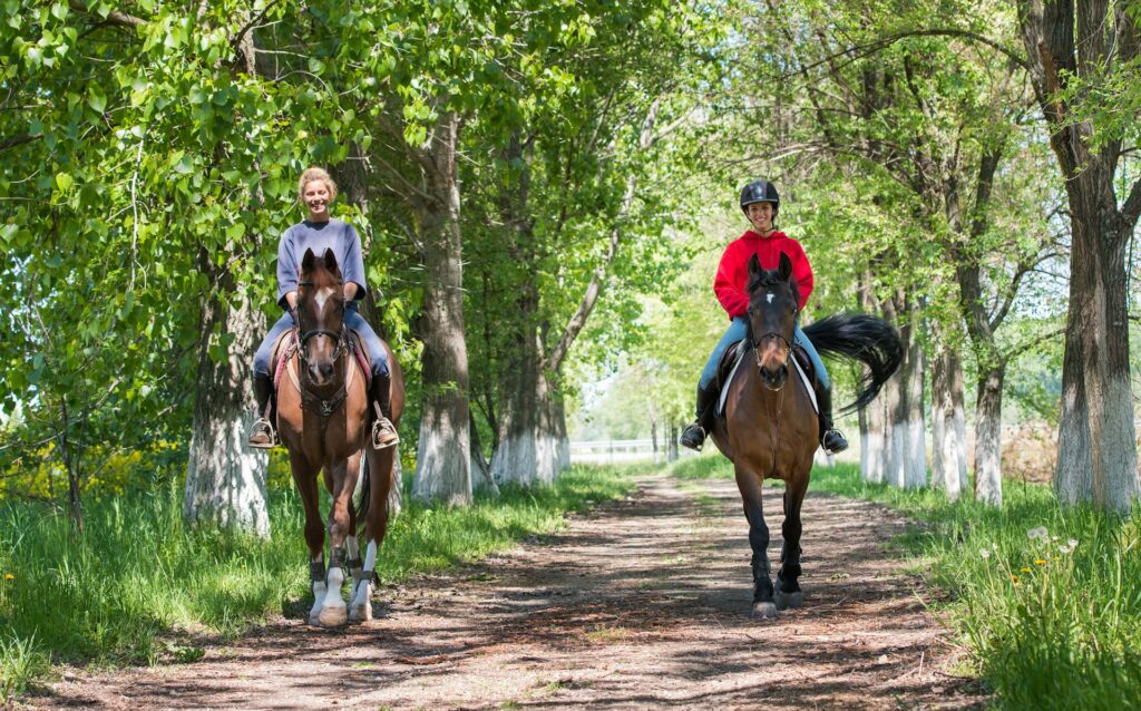 Horseback riding