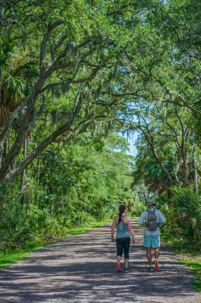 Hiking Palmetto Bluff