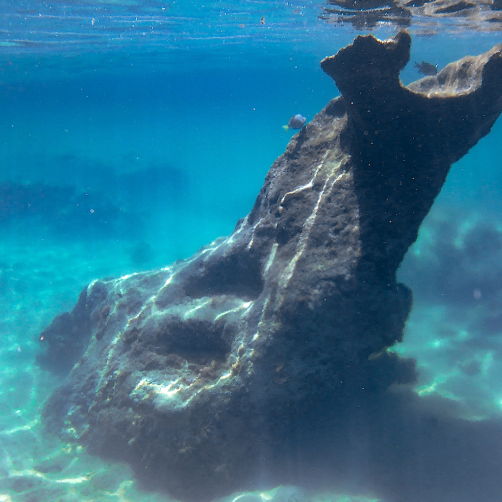 Underwater Sculpture Park