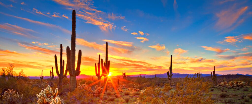 Arizona Desert Sunset