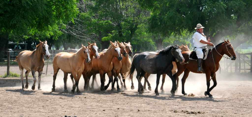 Gauchos traditions at a typical ranch in the countryside
