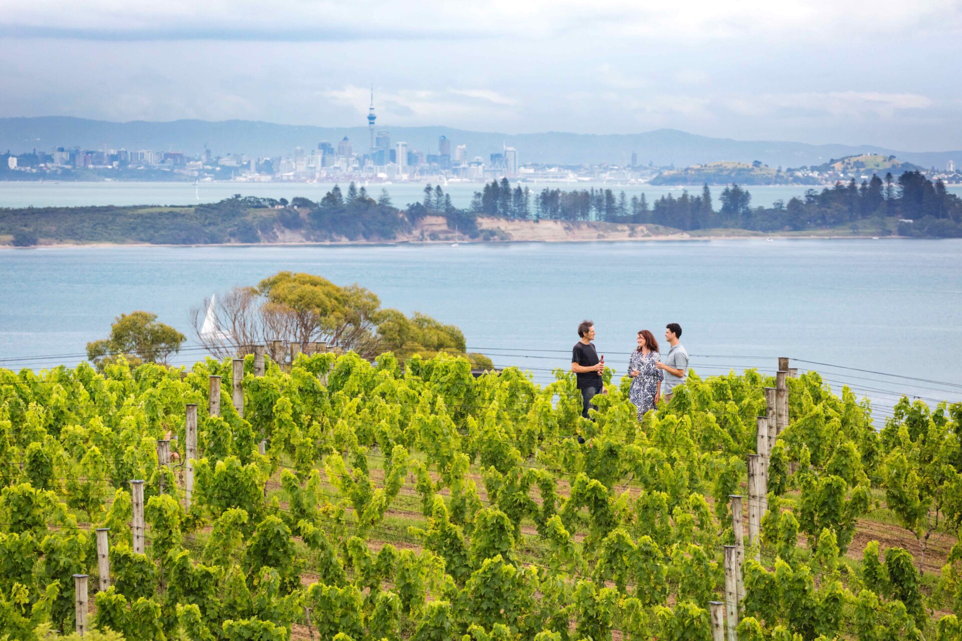 Wine Tasting on Waiheke Island