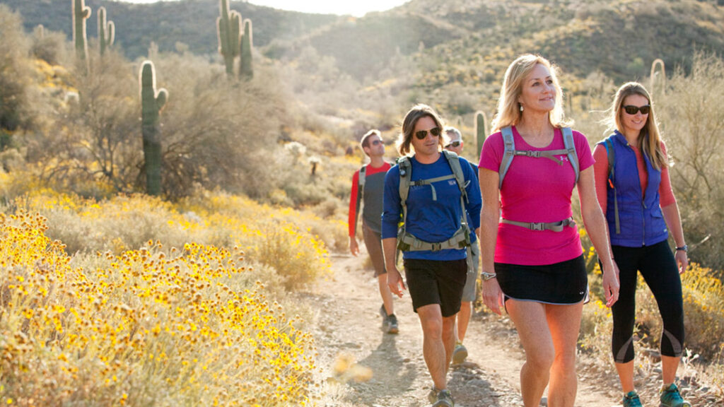 Hiking the Sonoran Desert