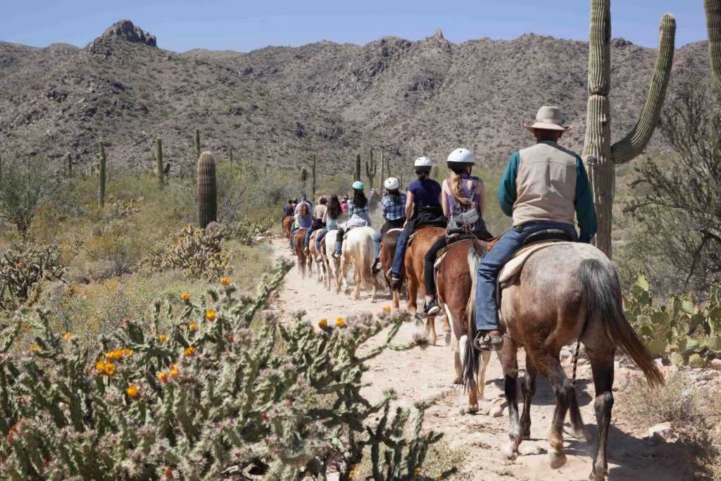 A group riding horse back through the Tuscon desert