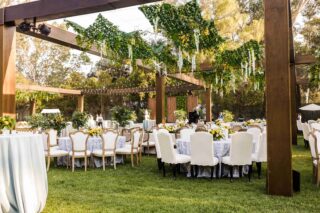 Custom build sitting with hanging lemons and lights.