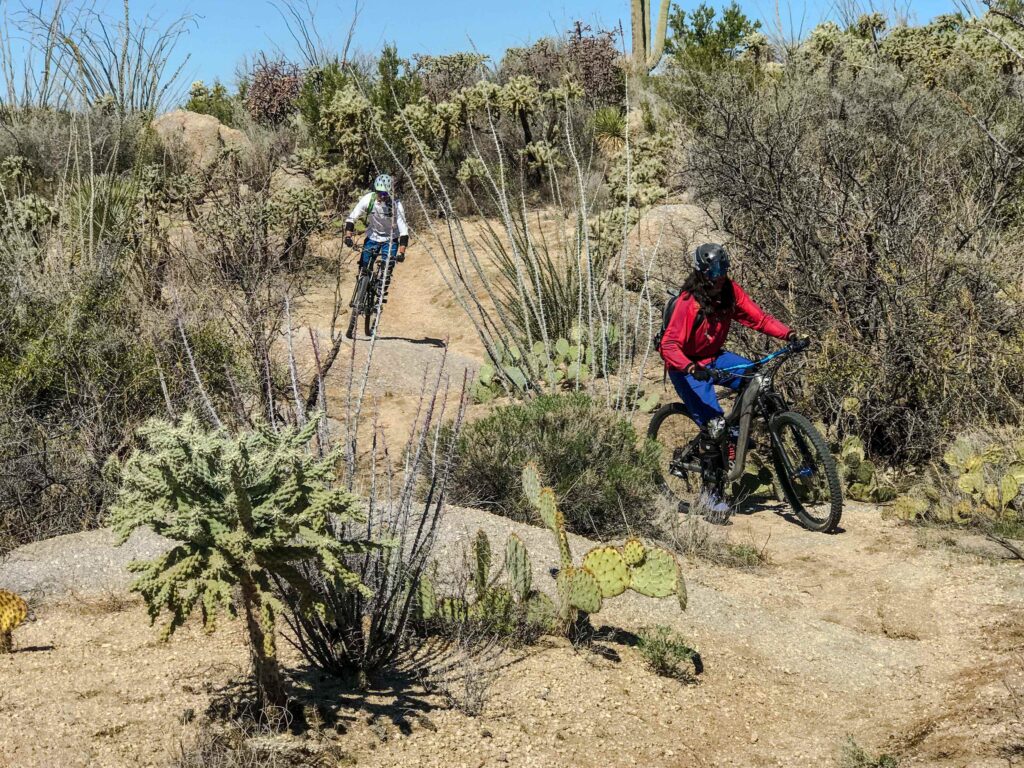 Two people mountain biking in Tuscon, Arizona.