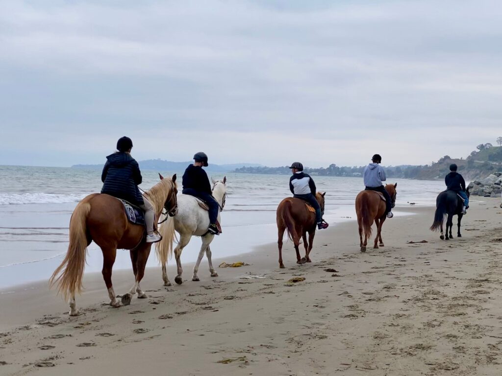 A group of people horseback riding on the beach