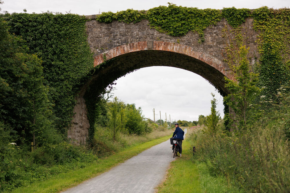 Bridge with greenery
