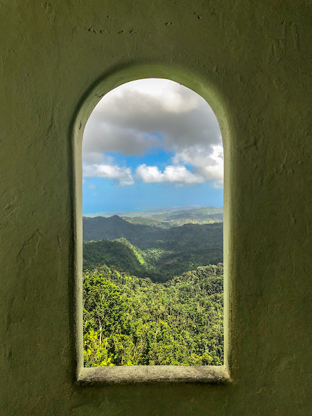 El Yunque window view