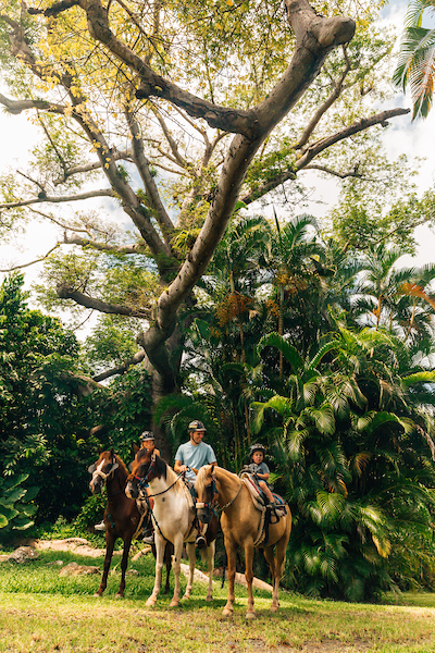 people on horseback