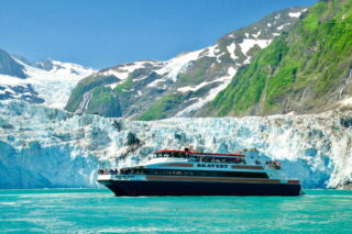 Glacier and Wildlife Cruise