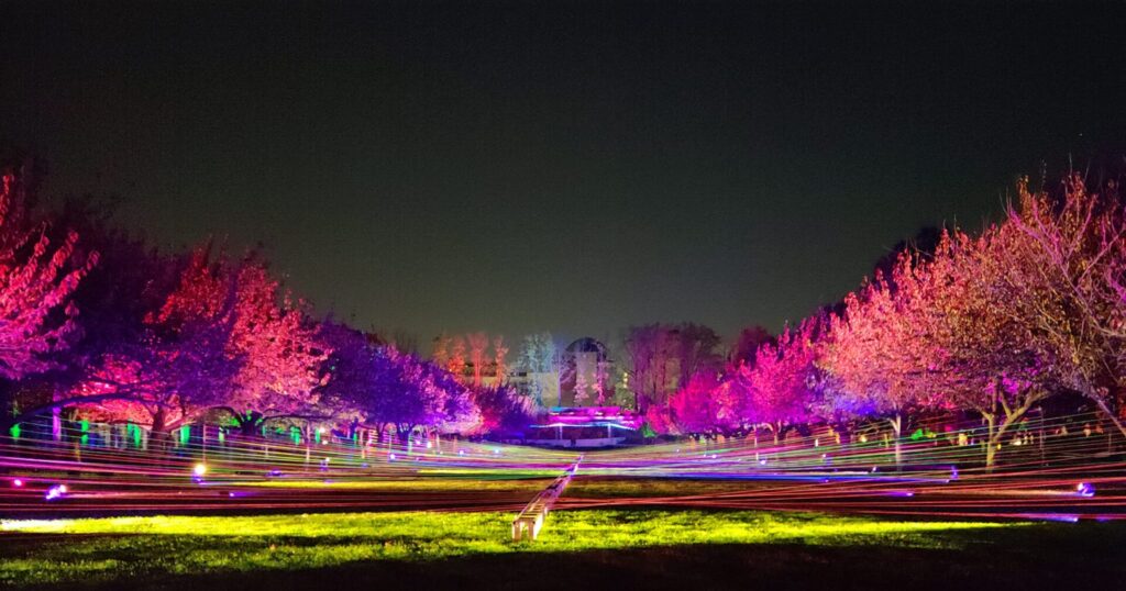 Holiday Lightscape at Brooklyn Botanical Gardens