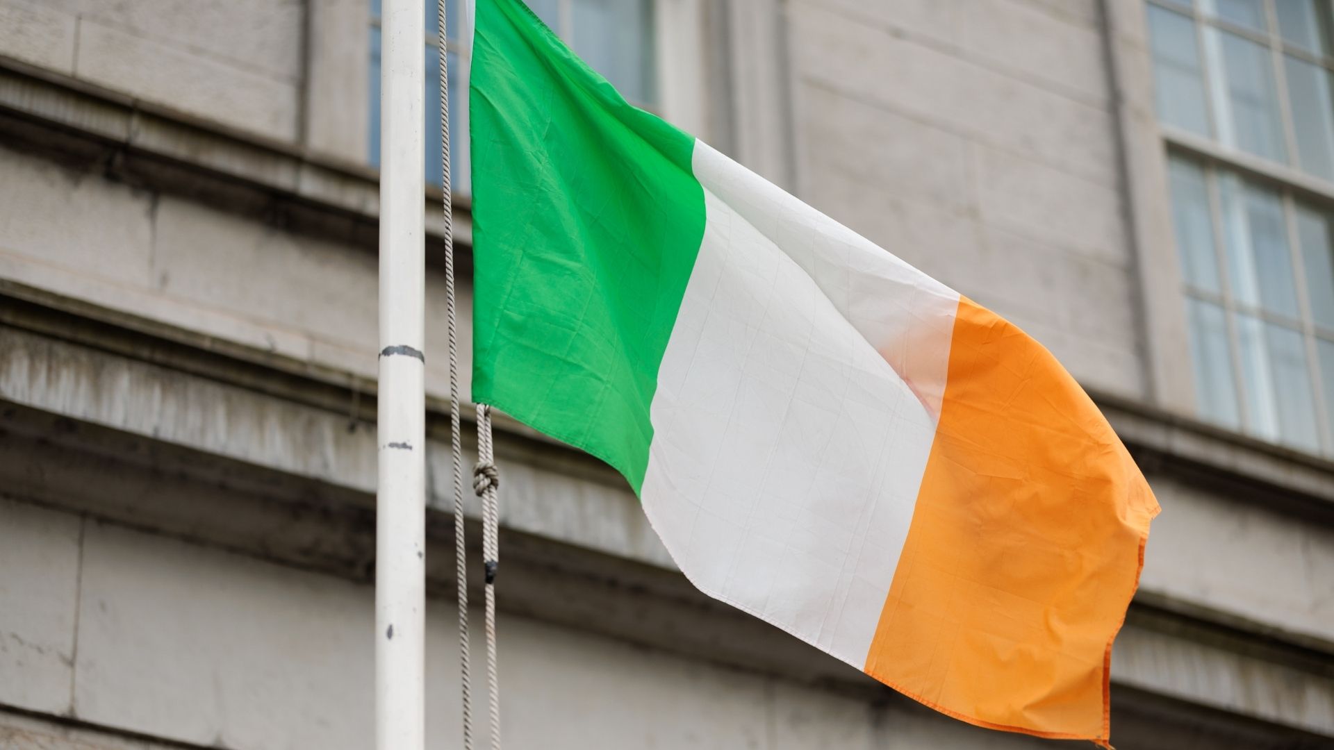 The Irish Flag
